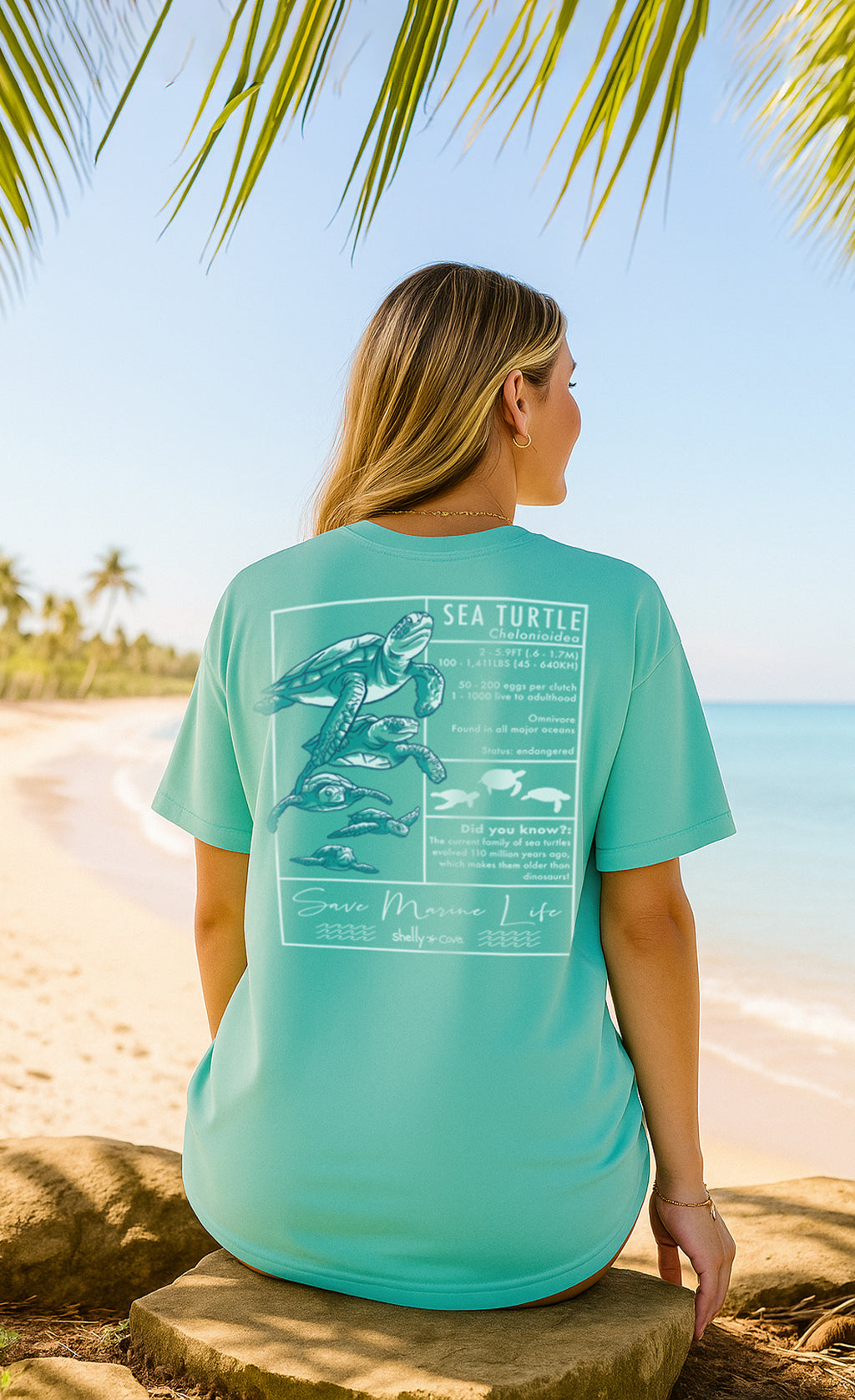 TEXTBOOK TURTLES COMFORT COLORS TEE