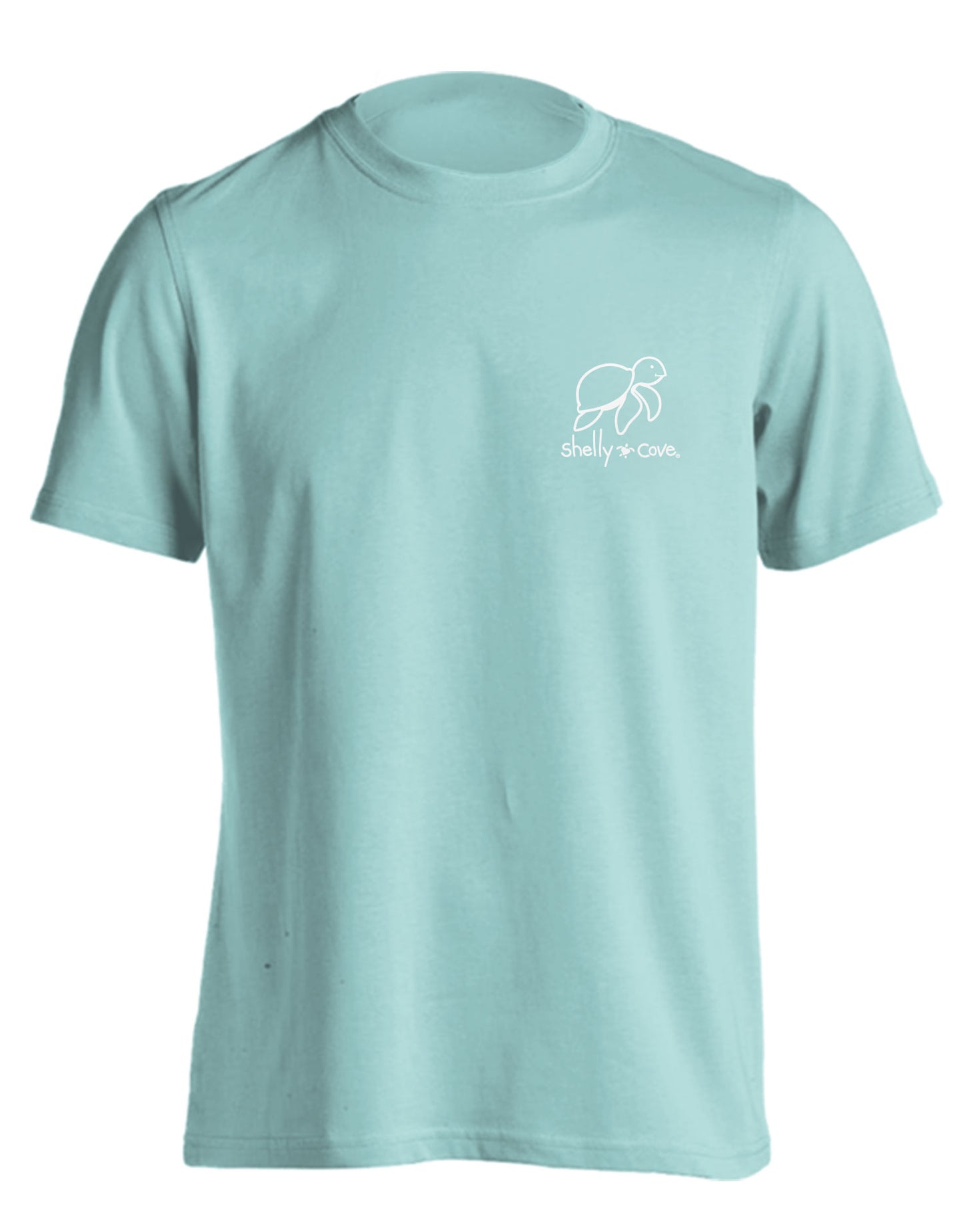 STRIPED CLOVER TURTLE COMFORT COLORS TEE