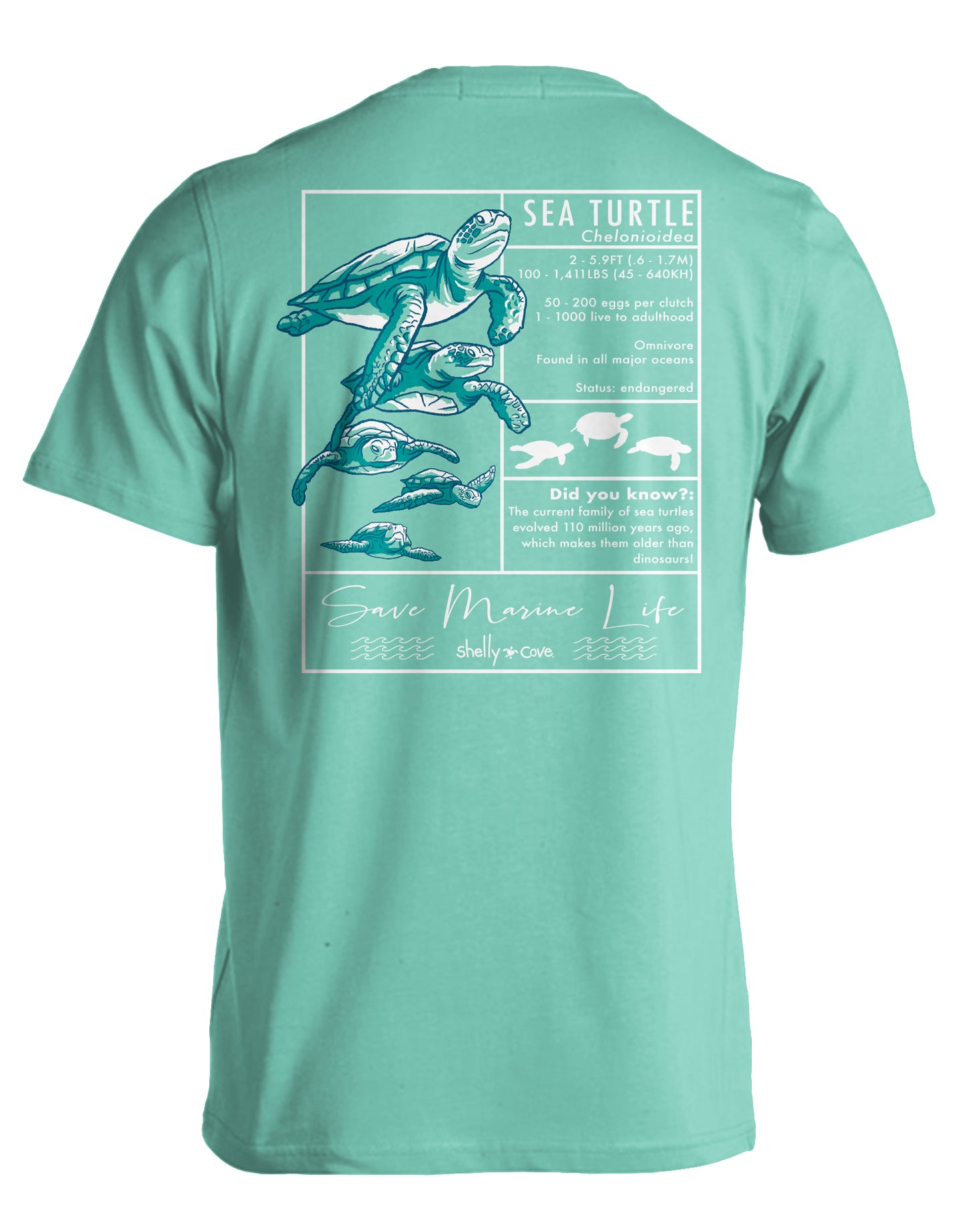 TEXTBOOK TURTLE COMFORT COLORS TEE