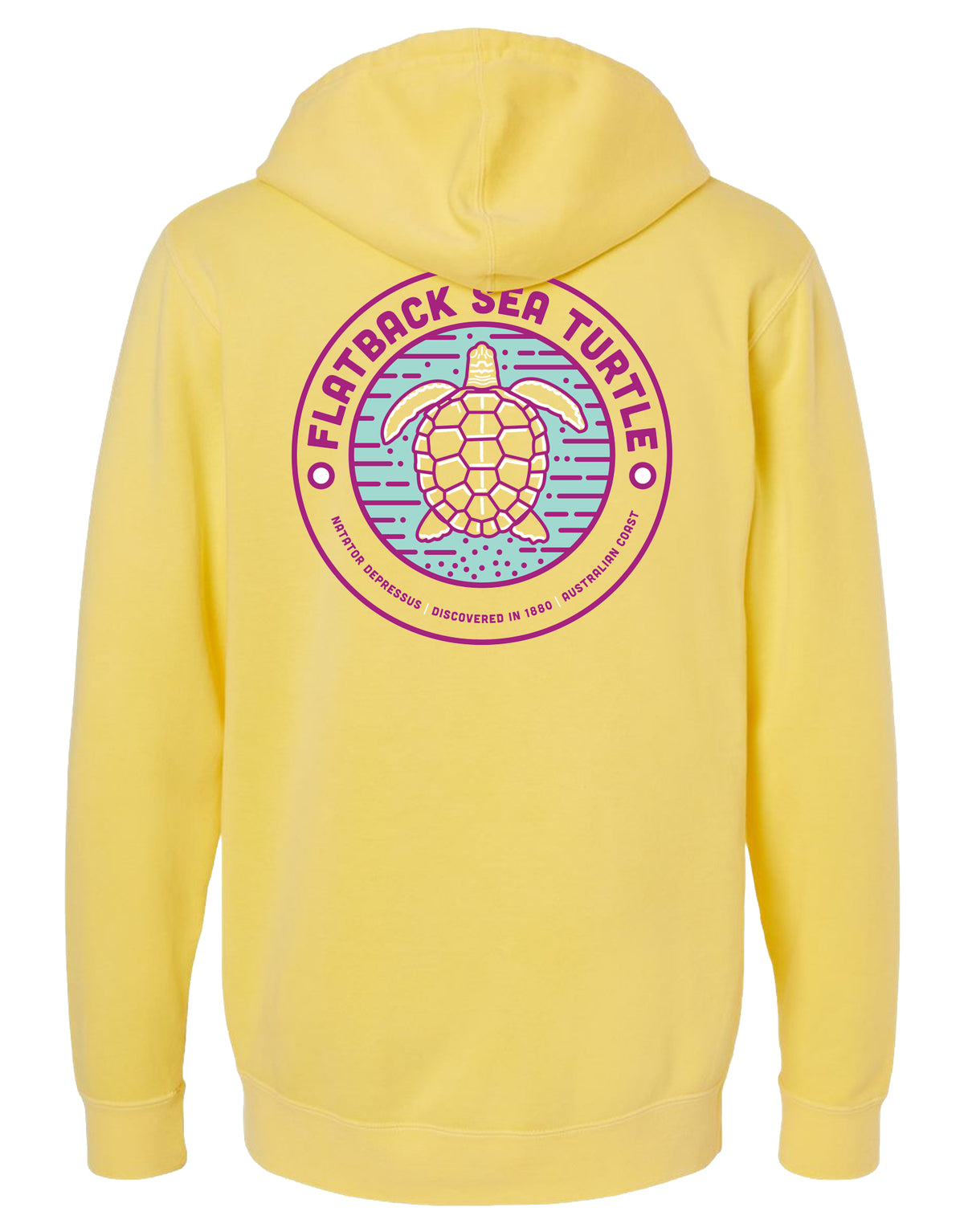 FLATBACK SEA TURTLE, ADULT HOODIE