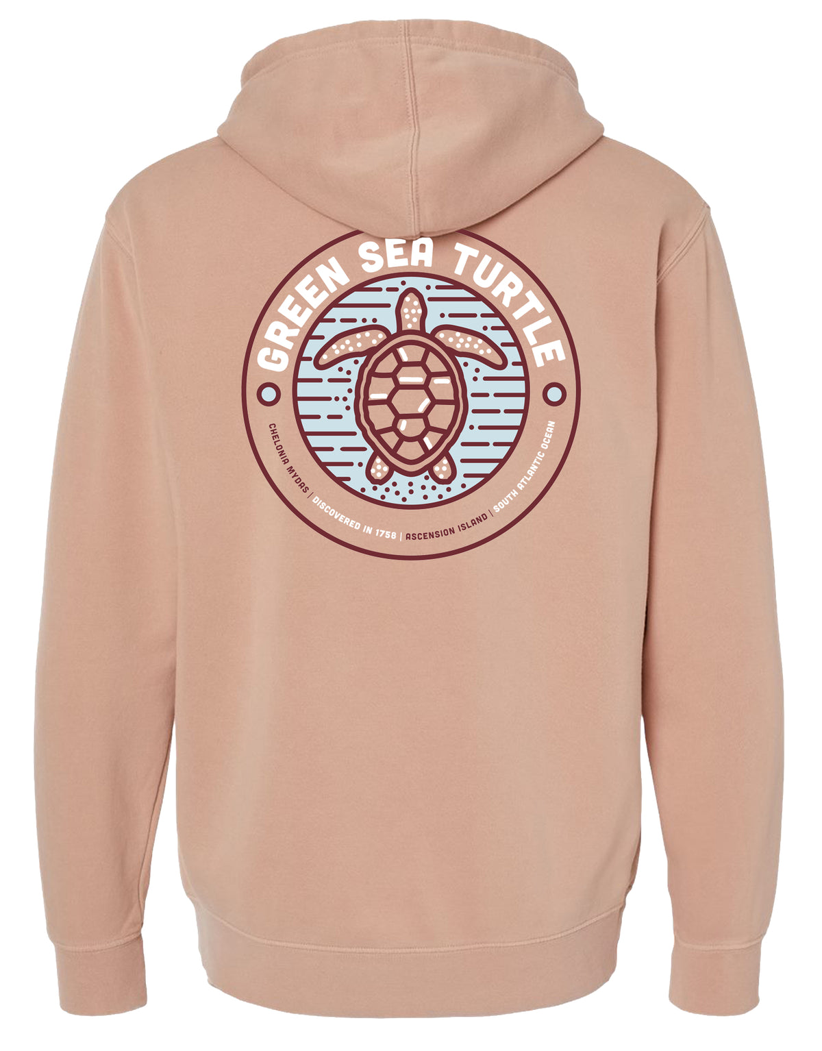 SHELLY COVE GREEN SEA TURTLE, ADULT HOODIE