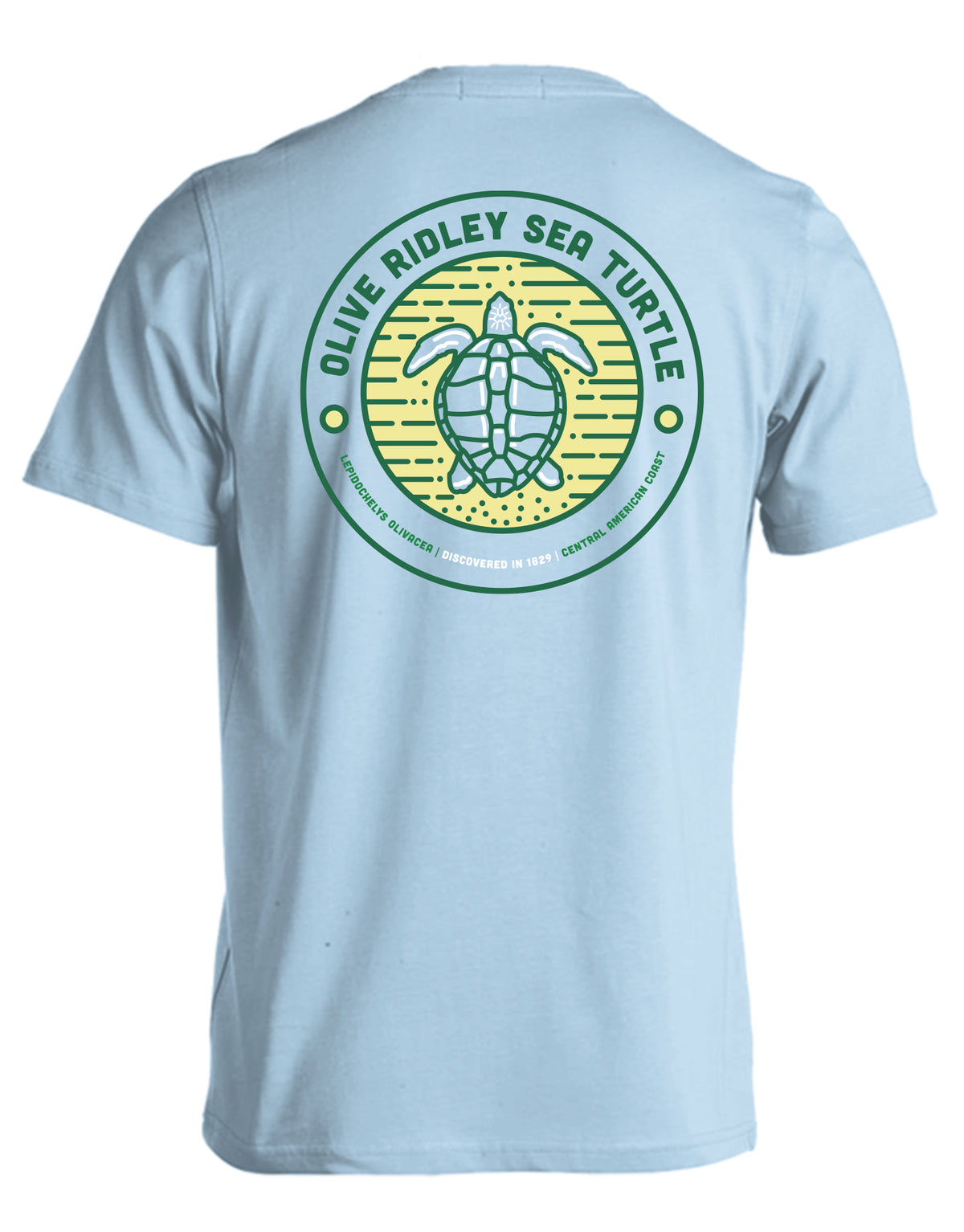 SHELLY COVE OLIVE RIDLEY SEA TURTLE, COMFORT COLORS TEE
