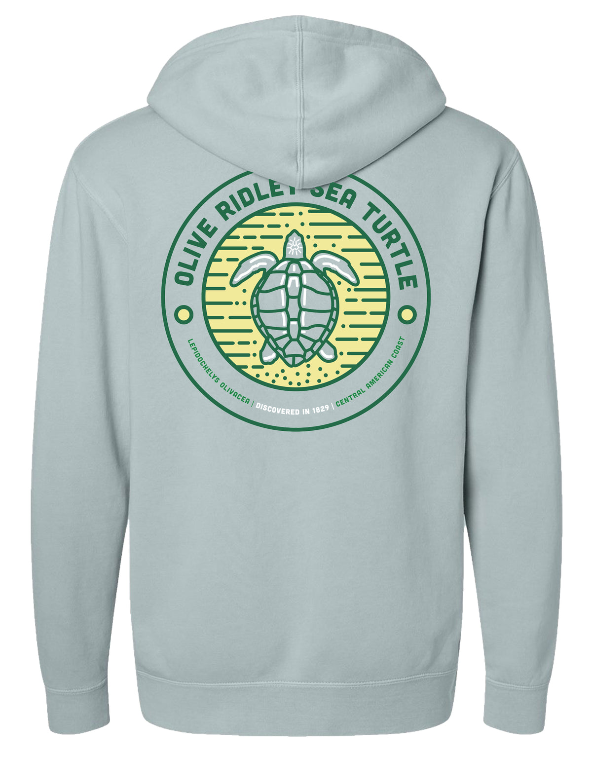 SHELLY COVE OLIVE RIDLEY SEA TURTLE, ADULT HOODIE