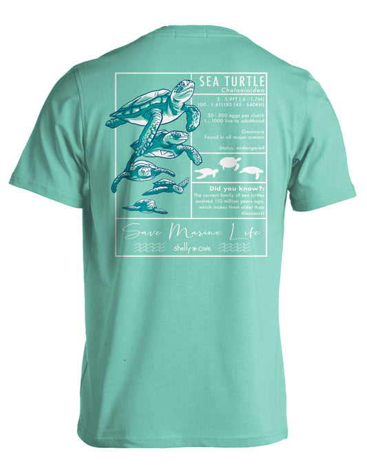TEXTBOOK TURTLE COMFORT COLORS TEE