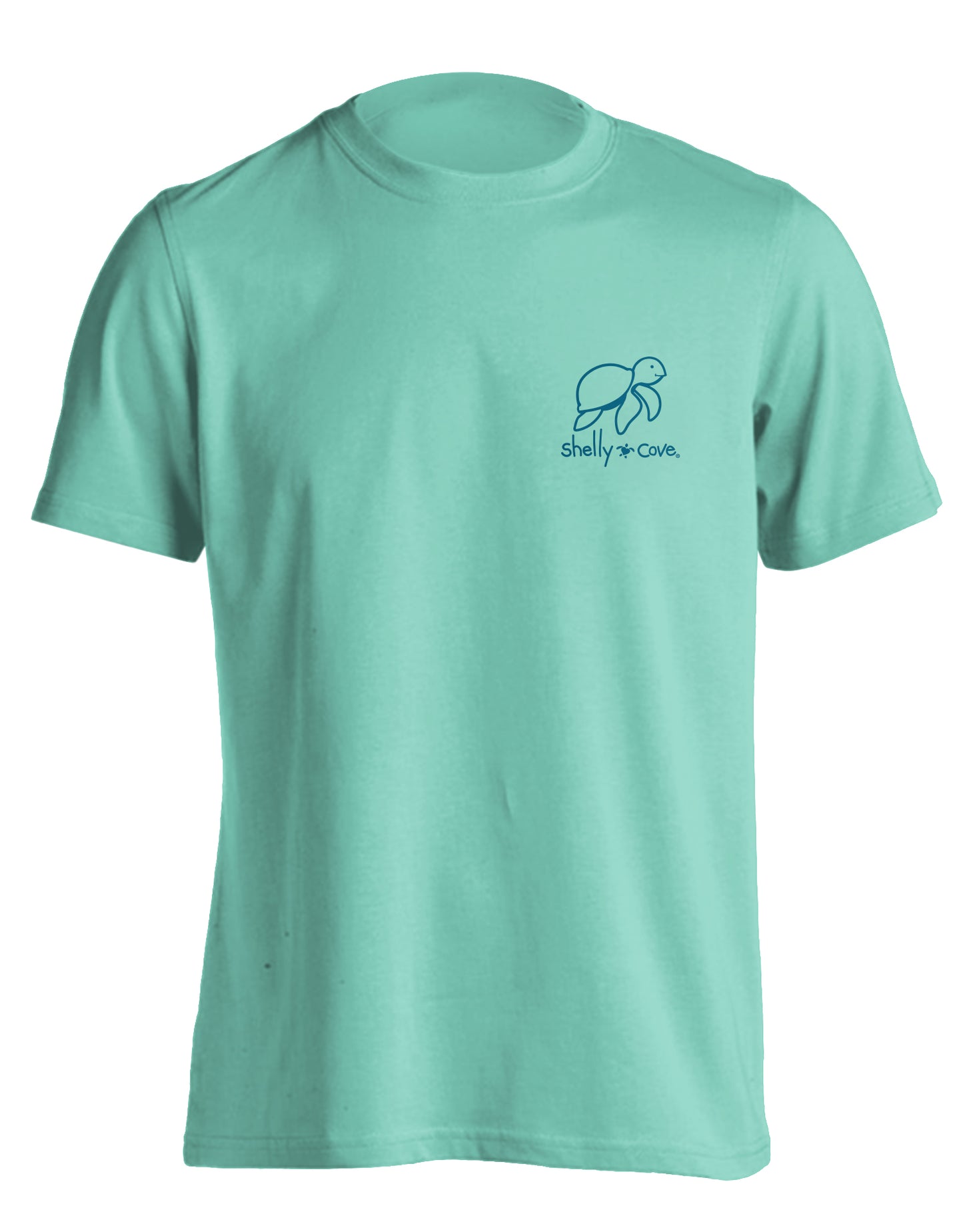 TEXTBOOK TURTLE COMFORT COLORS TEE